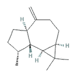 aromadendren.png?ver=1.6