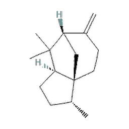 beta cedren.png?ver=1.6