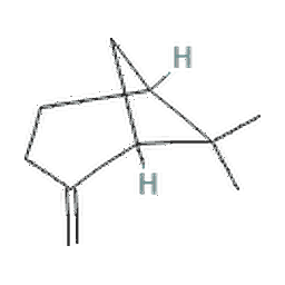 beta pinen.png?ver=1.6