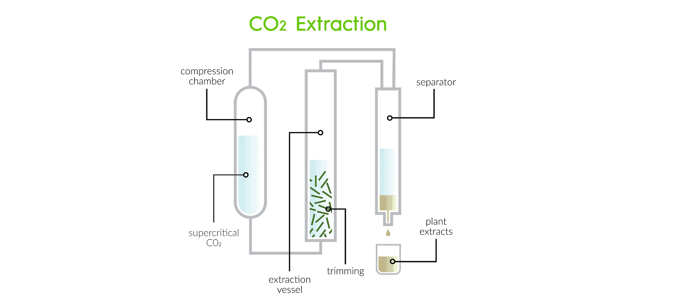 CO2 Extraktion CBD