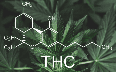 Vad är THC?