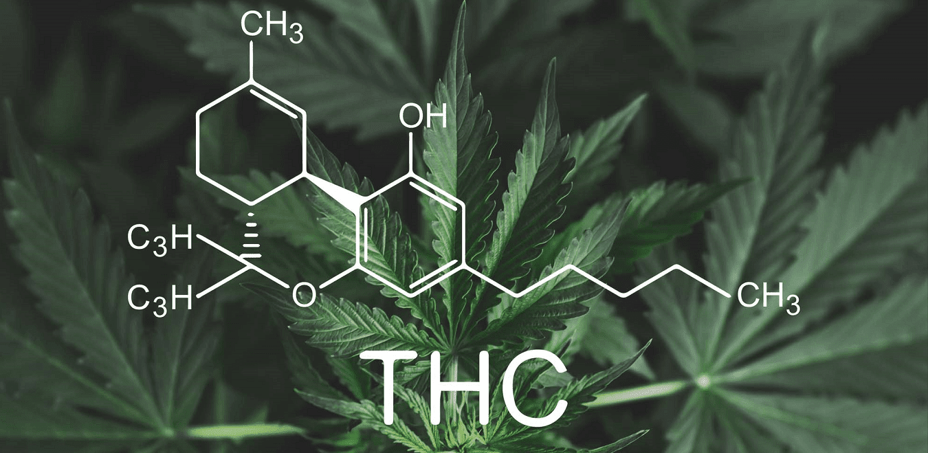 Vad är Tetrahydrocannabinol (THC)?
