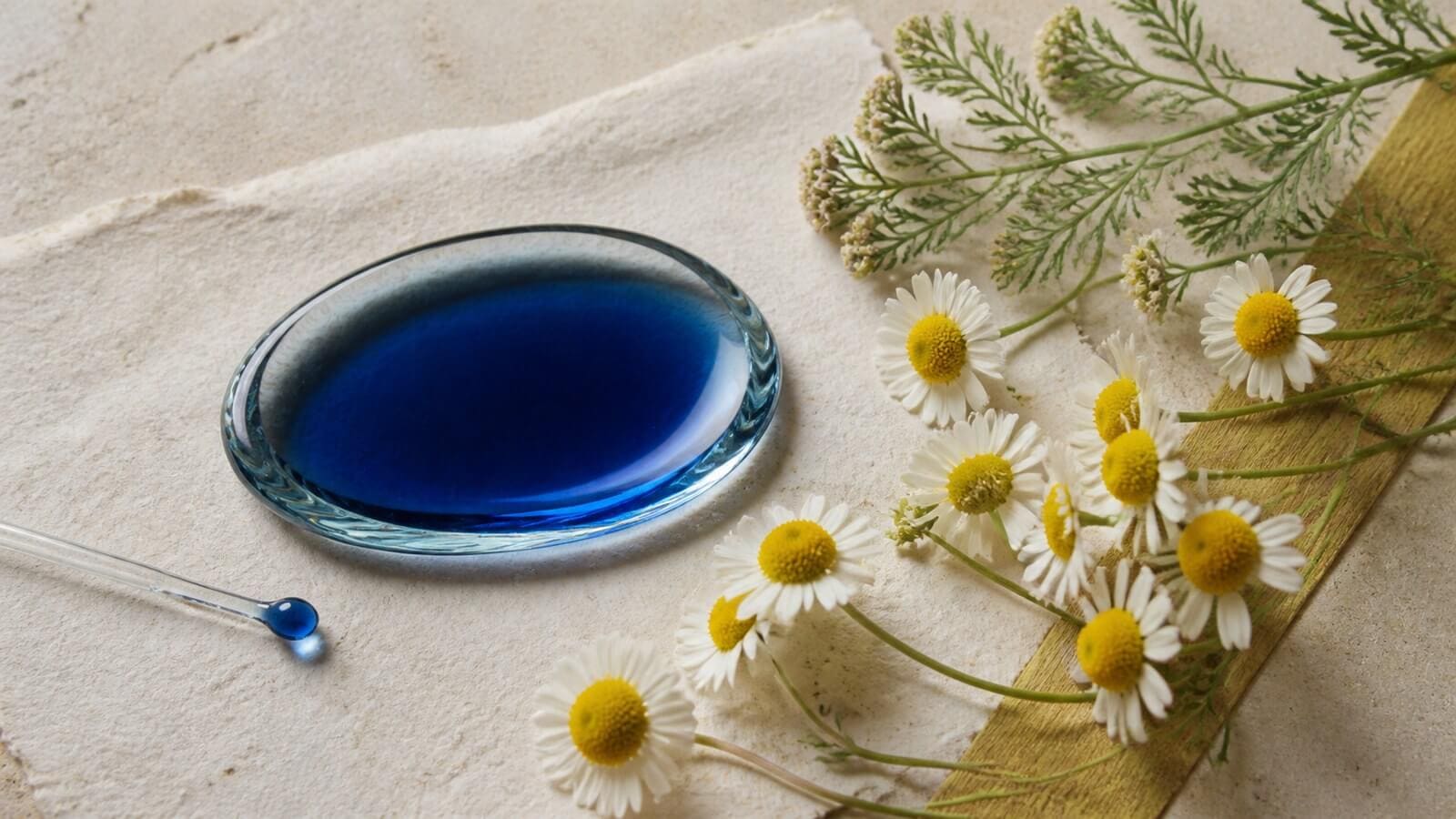 chamazulen-kamomill-bla-olja Genomskinlig djupblå olja, kamomillblommor och finflikiga gröna blad.