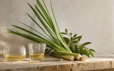 Citral (citrongräsolja, may chang-olja)
