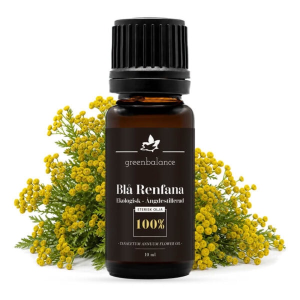 Ekologisk eterisk Blå Renfana Olja 10 ml