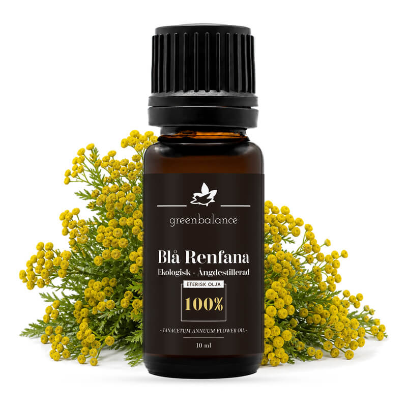 ekologisk eterisk bla renfana olja 10 ml Ekologisk eterisk Blå Renfana Olja 10 ml