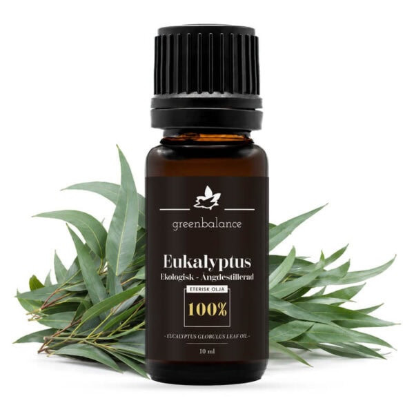 Ekologisk eterisk Eukalyptusolja 10 ml