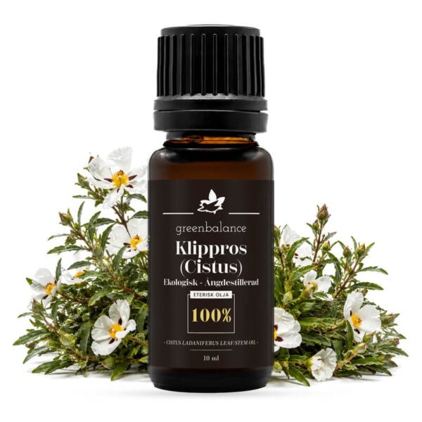 ekologisk eterisk klippros cistus olja 10 ml Ekologisk eterisk Klippros (Cistus) Olja 10 ml