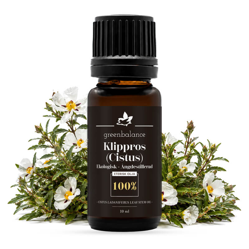 ekologisk eterisk klippros cistus olja 10 ml Greenbalances flaska med klipprosolja (cistus), 10 ml