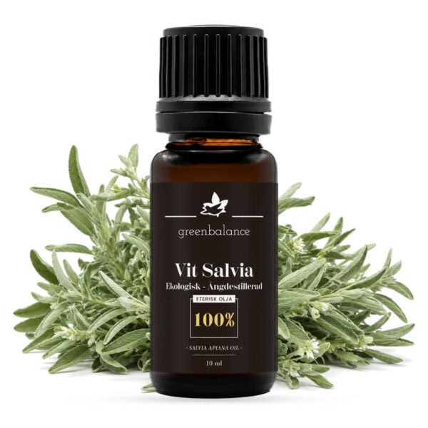 Ekologisk eterisk Vit Salviaolja 10 ml