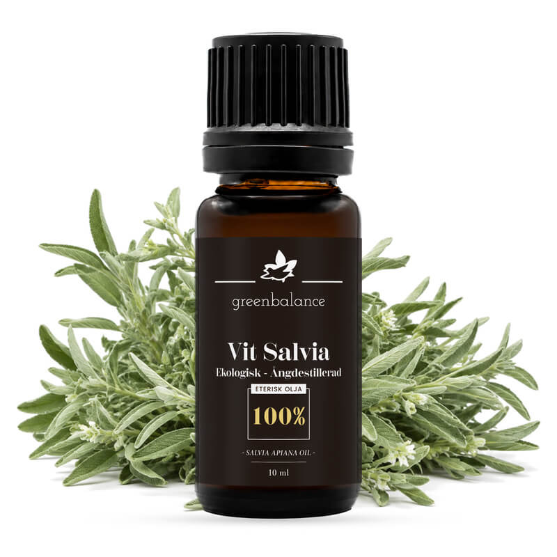 ekologisk eterisk vit salviaolja 10 ml Ekologisk eterisk Vit Salviaolja 10 ml