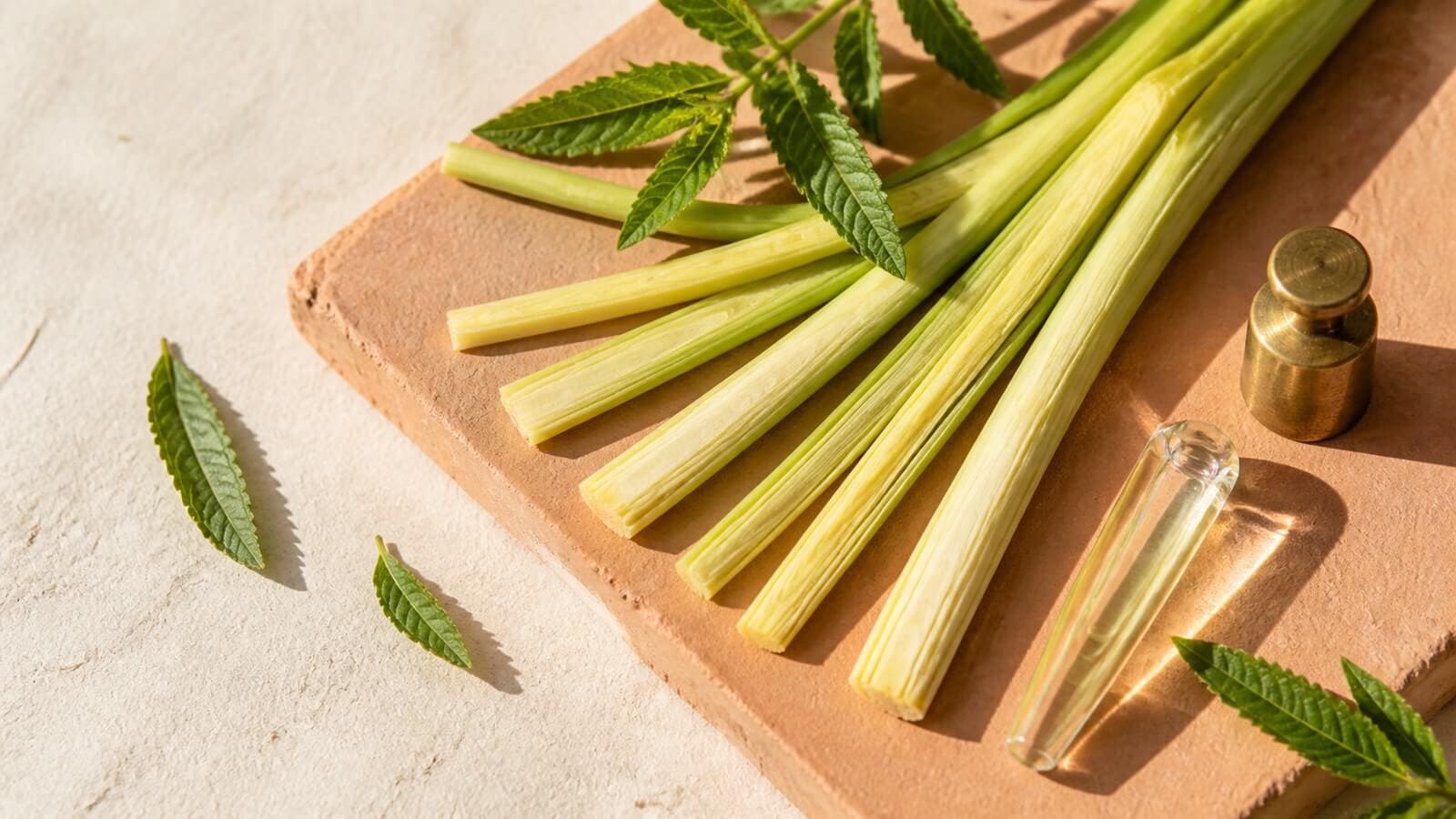 Kluvna citrongrässtjälkar, gröna blad och en smal ampull med blekgul vätska.