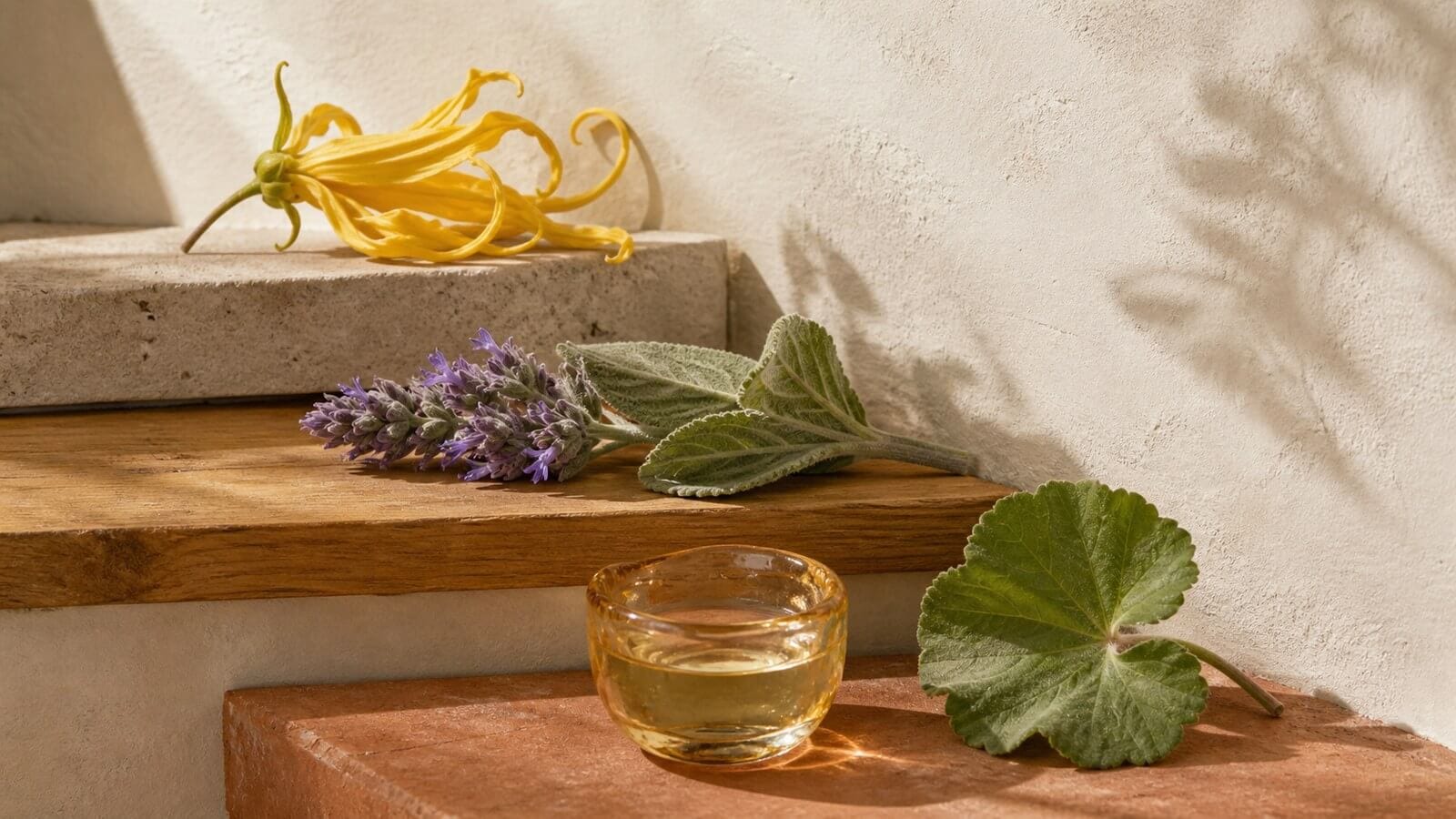 germakren-d-ylang-ylang-salvia Ylang-ylang, blommande salvia, ett pelargonblad och blekgul vätska i glas.